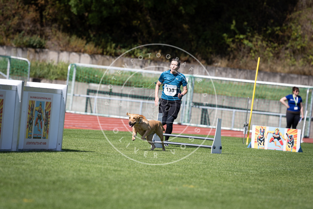 Pfotenfotografie_DV3A8850 | Hundefotografie, Tierfotograf, Pfotenfotografie, Fotoshooting Hund, Hunde Portrait, Hundesport, Hundeportraits, Heideshooting, Hunde, Sportfotograf, Hundefotograf, Turnierhundsport, THS,  - Realisiert mit Pictrs.com