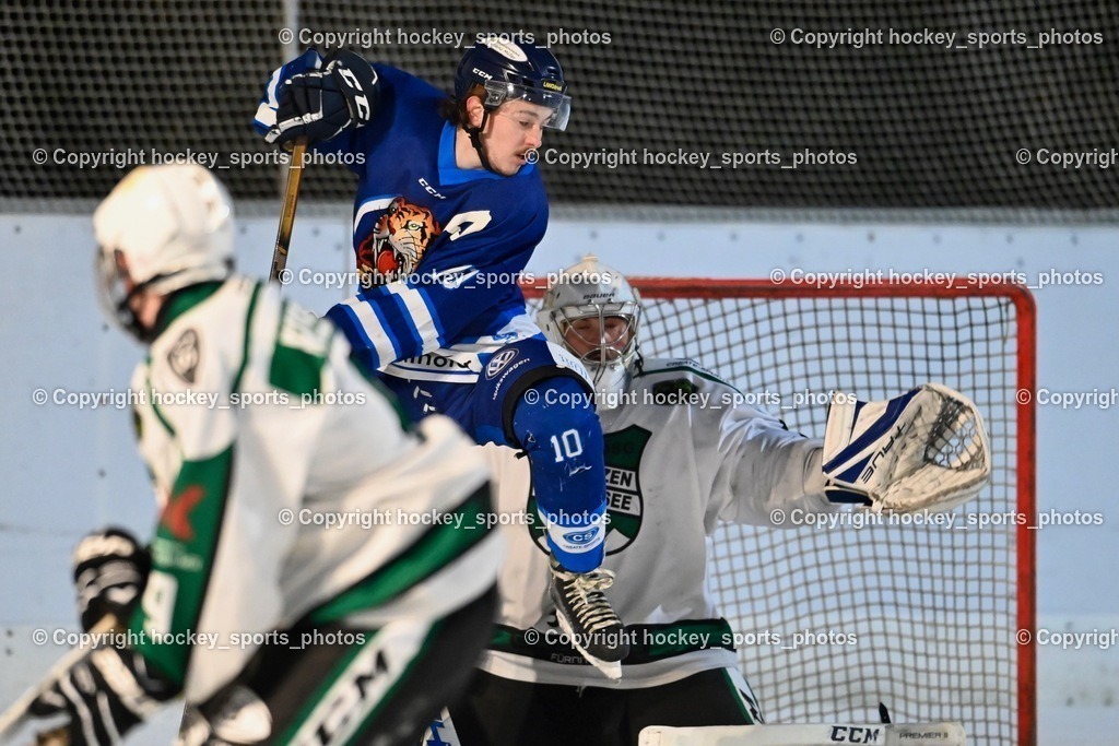 EC Ice Tigers Paternion vs. DSG Ledenitzen Faakersee 14.1.2024 | #10 Ortner Philipp, #32 Baumann Rene