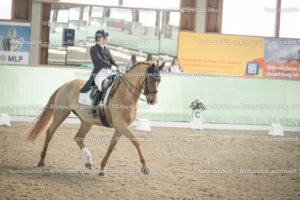 _D5A1327 | Emotionale Pferde- & People-Fotografie rund um Heidelberg, Leimen & Umgebung. Natürliche Fotos von Pferd, Mensch & Familie. Jetzt Termin sichern!