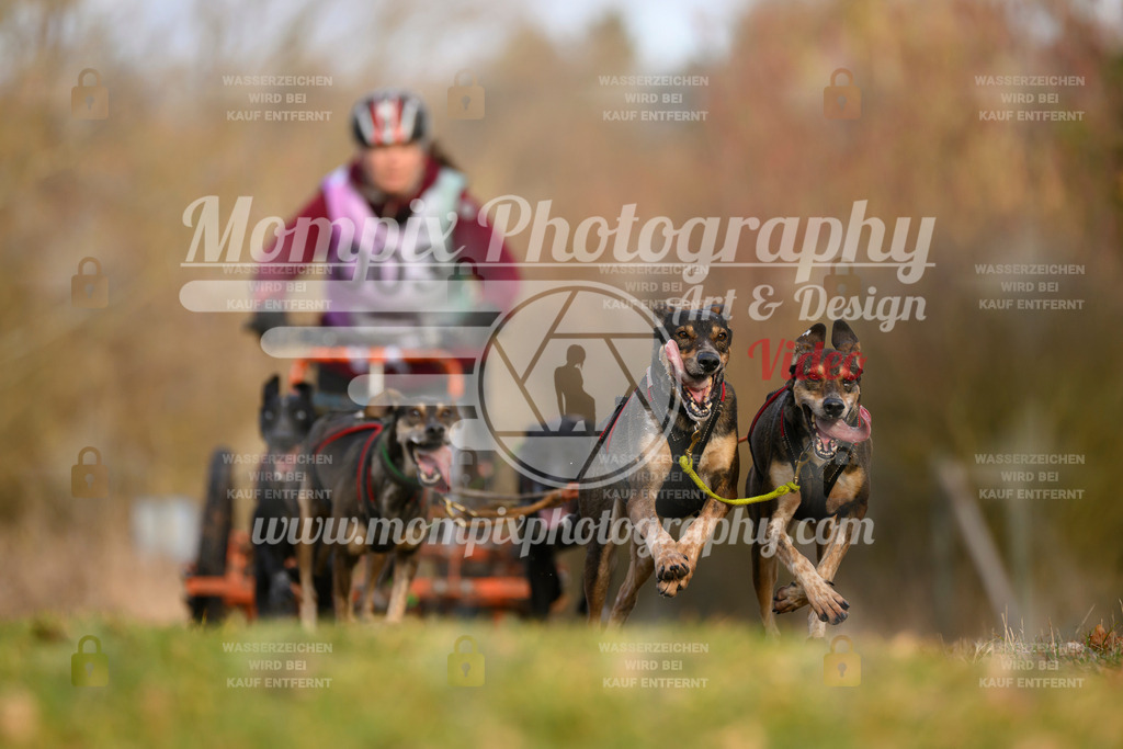MompixPhotography_10Schwabentrail2026_SO_Kart-8 | PayLife