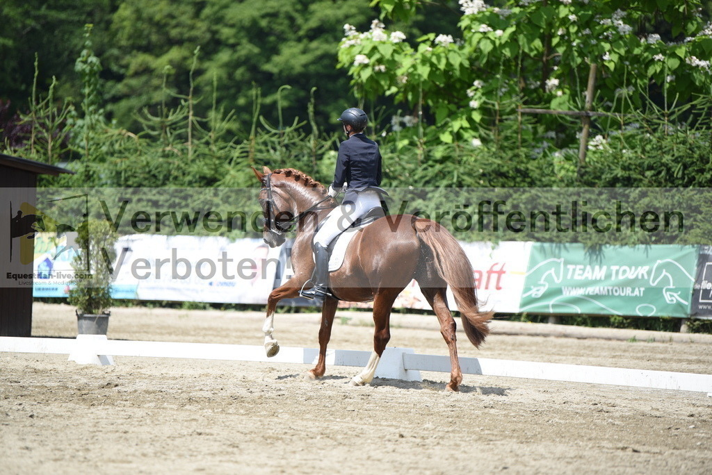 DSC_9058 | equestrian-live-com