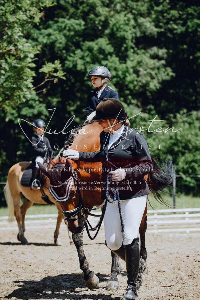 DSC_2573 | Pferde- und Turnierfotografie in Westsachsen. Pferdeportraits, Auftragszeichnungen und intuitive Kunst.