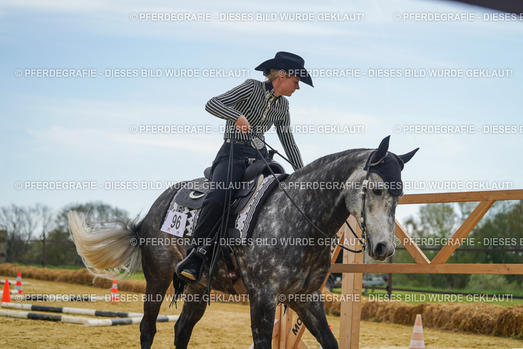 DSC02362 | Pferdegrafie