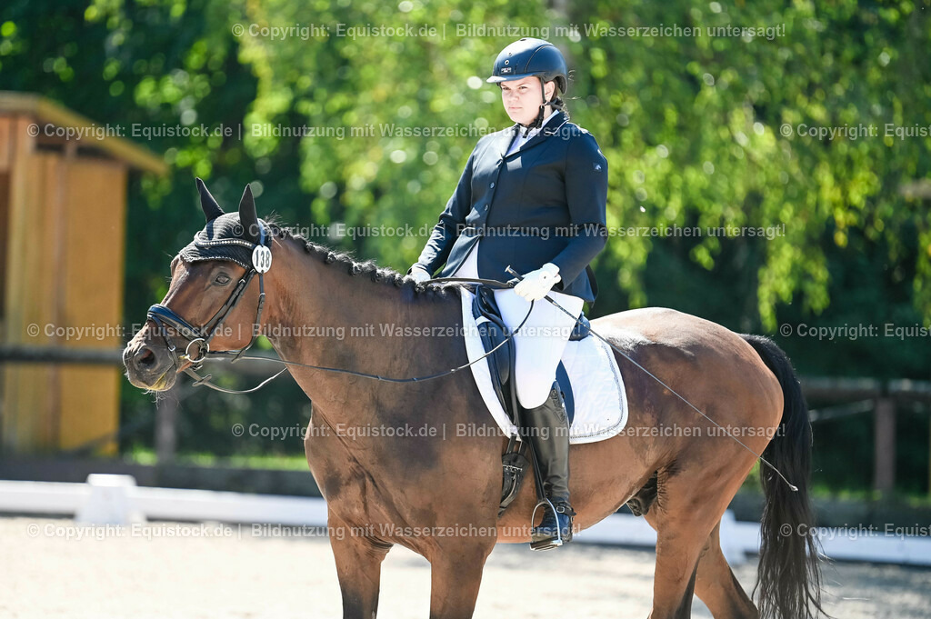 20230908_06_Dressur-L-Trense_0544 | equistock