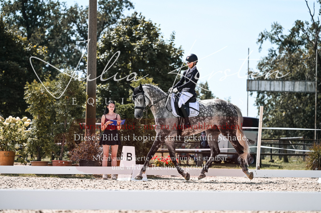 DSC_5580 | Pferde- und Turnierfotografie in Westsachsen. Pferdeportraits, Auftragszeichnungen und intuitive Kunst.