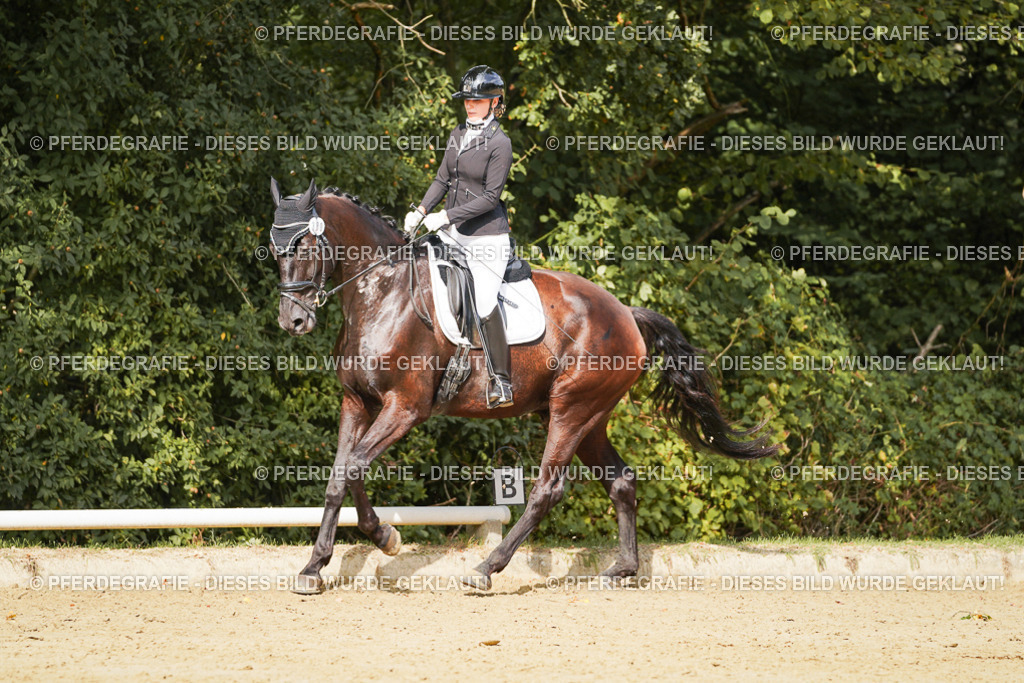 DSC03160 | Pferdegrafie