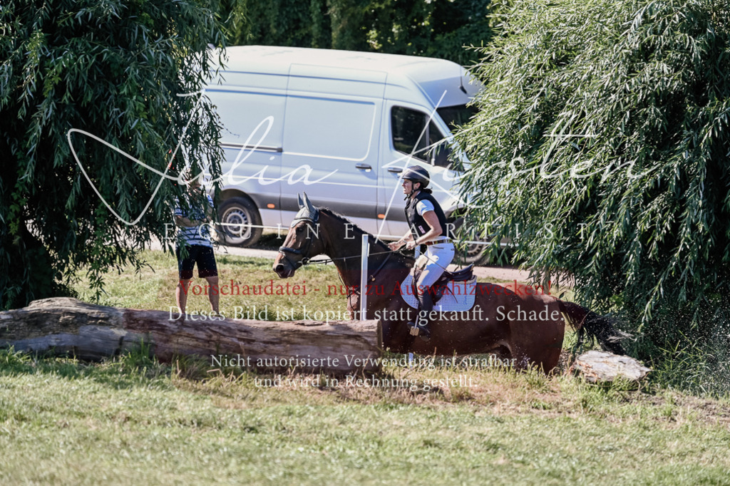 DSC_2716 | Pferde- und Turnierfotografie in Westsachsen. Pferdeportraits, Auftragszeichnungen und intuitive Kunst.