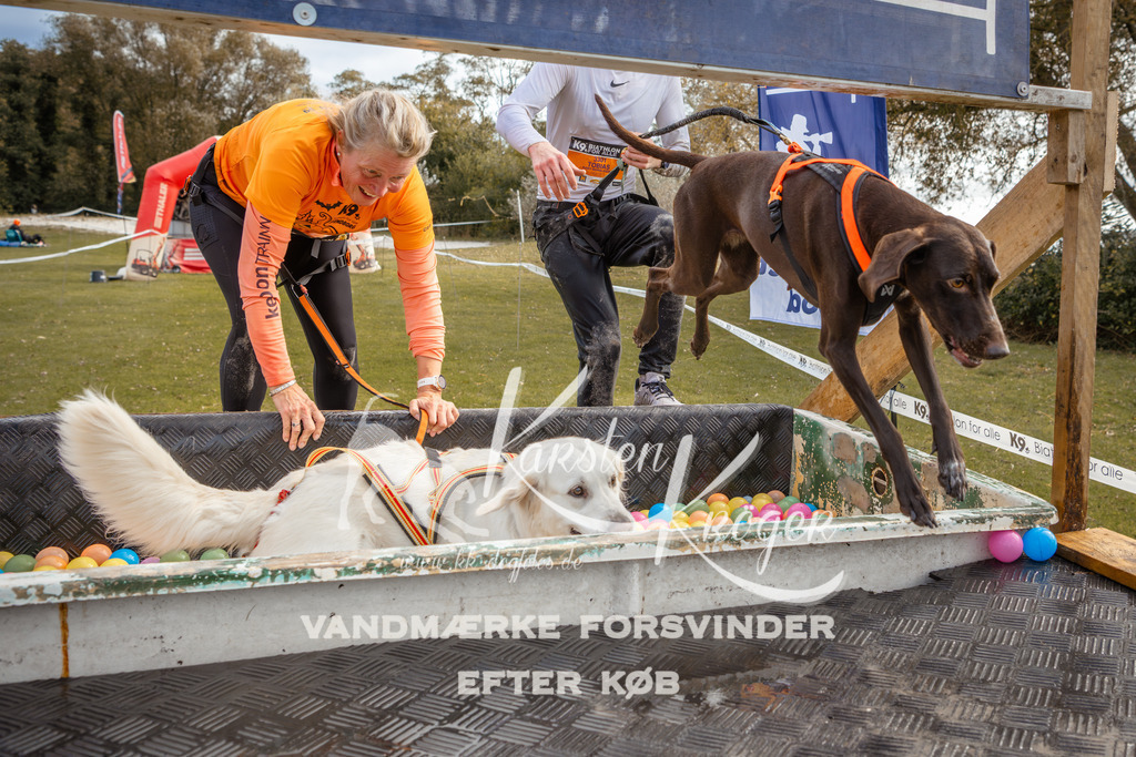 1356_ZZ92805-2 | kk-dogfotos