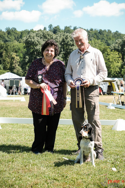 CACIB Aarau | CACIB Aarau, Swiss Dog Show  28062025 Foto: Leo Wyden