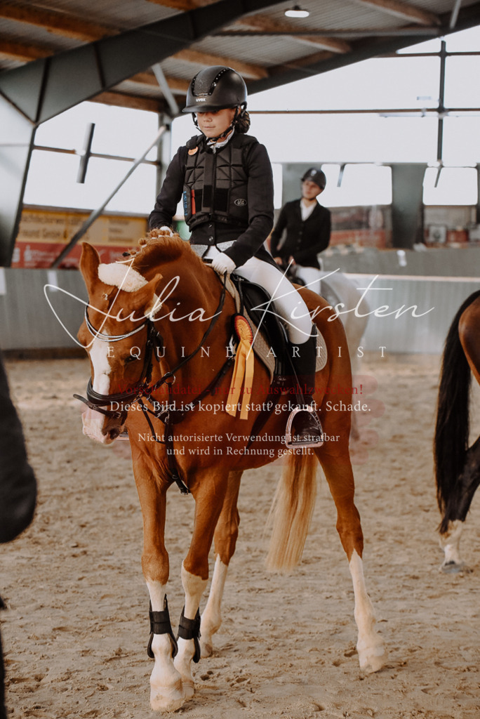 DSC_7499 | Pferde- und Turnierfotografie in Westsachsen. Pferdeportraits, Auftragszeichnungen und intuitive Kunst.