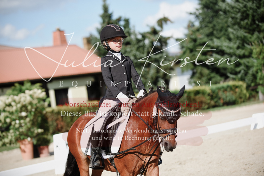 DSC_0041 | Pferde- und Turnierfotografie in Westsachsen. Pferdeportraits, Auftragszeichnungen und intuitive Kunst.