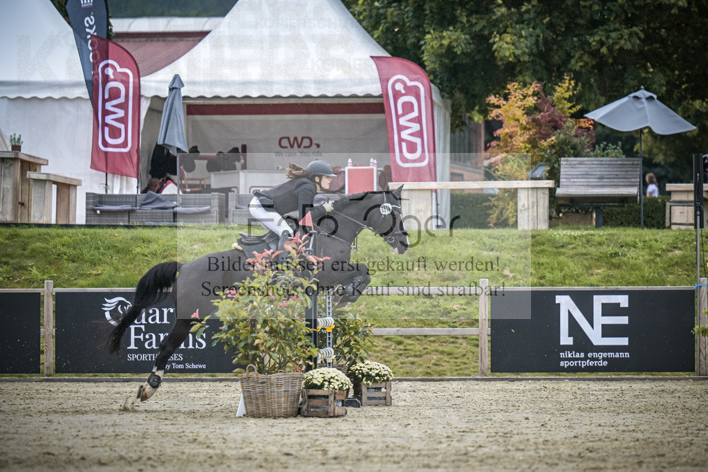 DOS_2000 | Entdecke hochwertige Reitturnierfotos von Foto Oger. Professionell, emotional und authentisch – jetzt Lieblingsmomente im Shop bestellen.Deutschlandweite Turnierfotografie. - Realisiert mit Pictrs.com