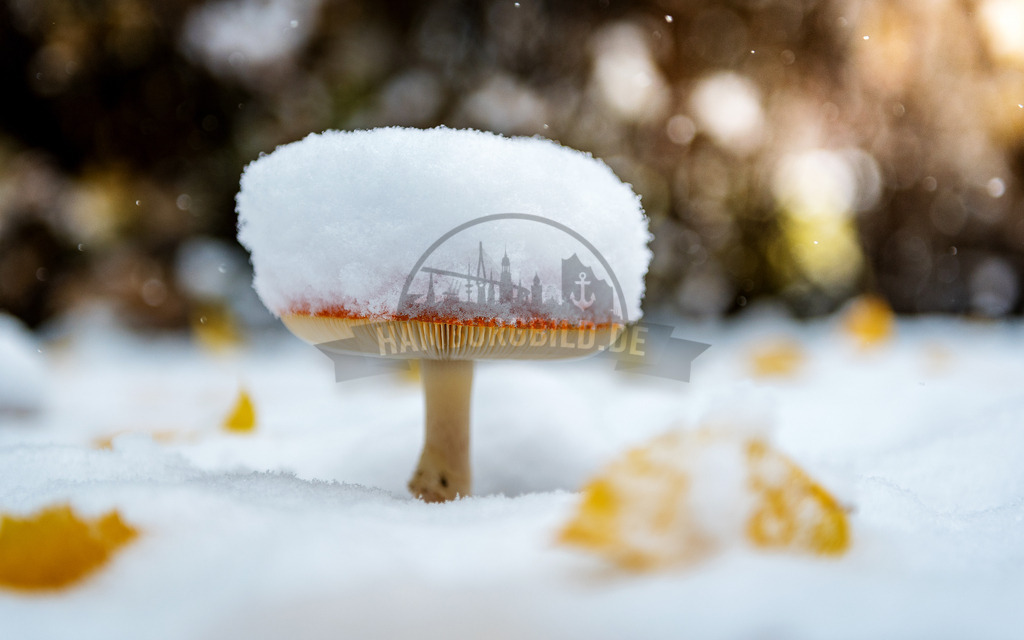 stativkunst-655 | Exklusive Hamburg collagen, tolle Segelbilder und viele weitere tolle Motive auf Leinwand, Poster, Alu-Dibond, u.v.m. findet Ihr bei uns auf hamburgbild.de. Findet Euer Wandbild für Euer Zuhause, Büro oder die  Praxis…. - Realisiert mit Pictrs.com