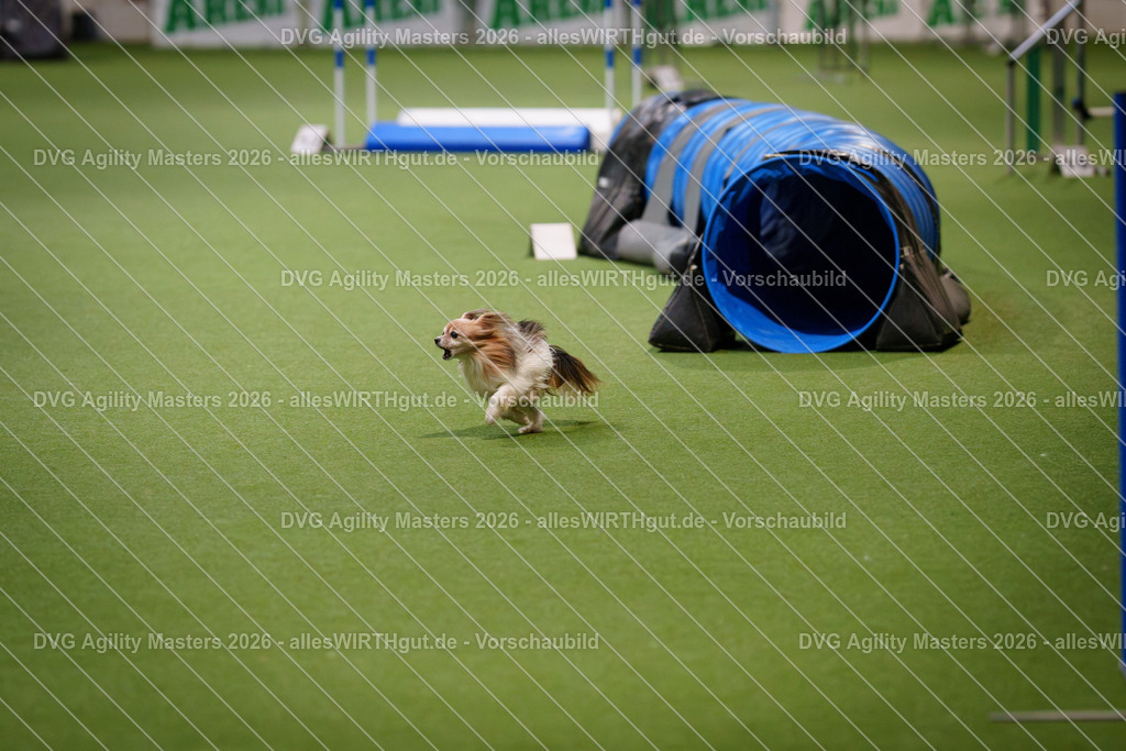 allesWIRTHgut_Tierfotografie-DVG_Agility_Masters_2026-08_16-7R507827 | Professionelle Tierfotografie in Mönchengladbach von Daniel Wirth (allesWIRTHgut). Liebevolle & natürliche Bilder von Hunden & Katzen für unvergessliche Erinnerungen.