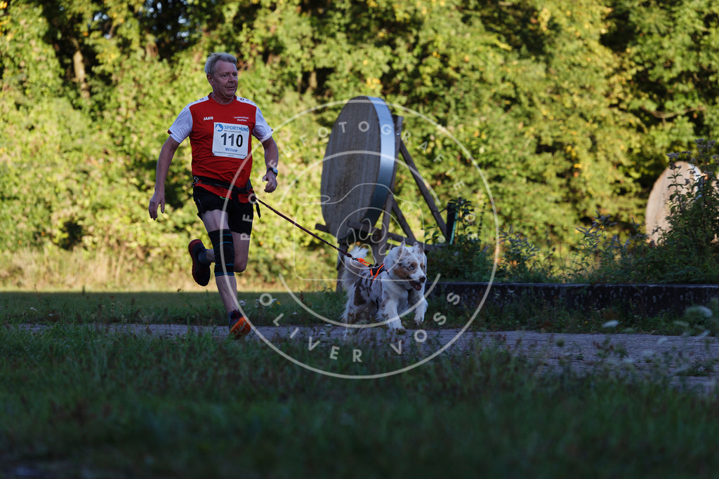 0L8A4604 | Hundefotografie, Tierfotograf, Pfotenfotografie, Fotoshooting Hund, Hunde Portrait, Hundesport, Hundeportraits, Heideshooting, Hunde, Sportfotograf, Hundefotograf, Turnierhundsport, THS,  - Realisiert mit Pictrs.com