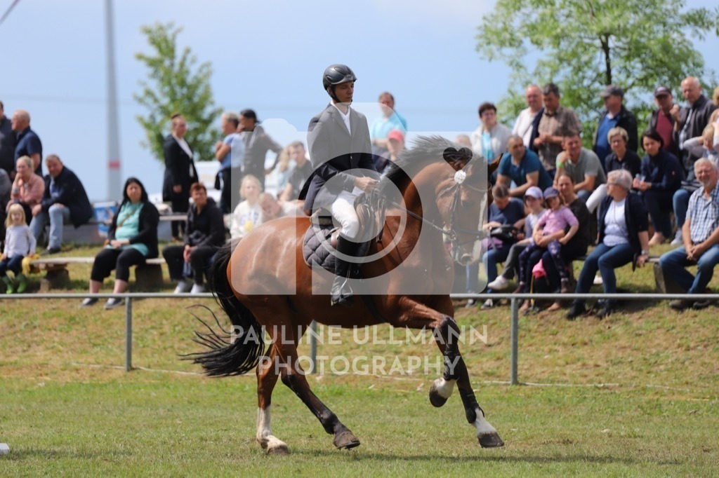 IMG_8895 | Pauline Ullmann Photography - Realisiert mit Pictrs.com