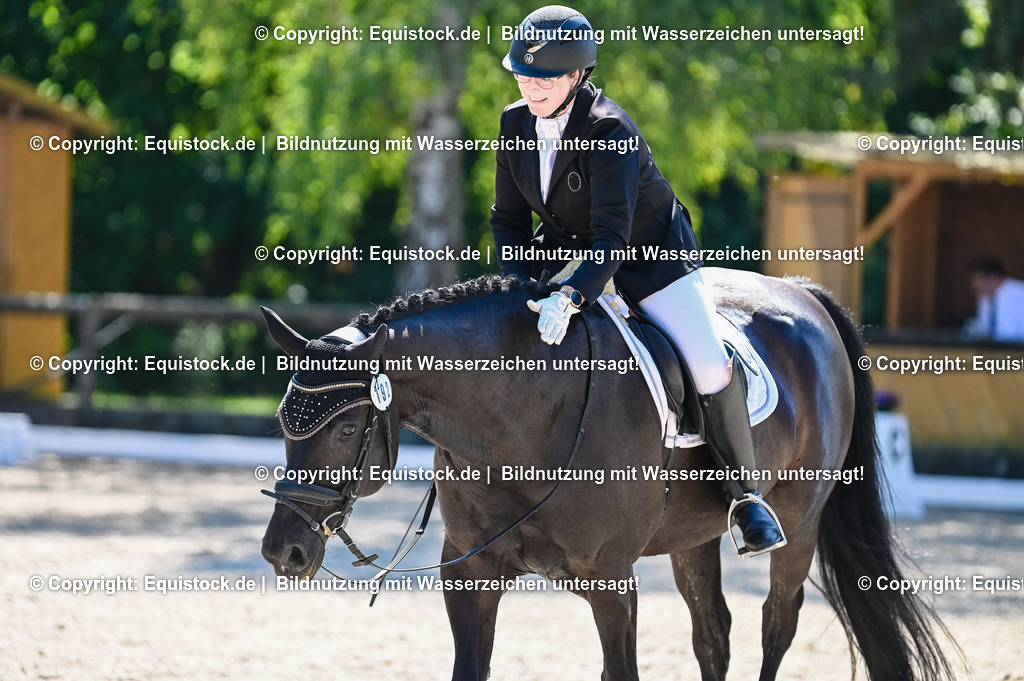 20230908_06_Dressur-L-Trense_0733 | equistock