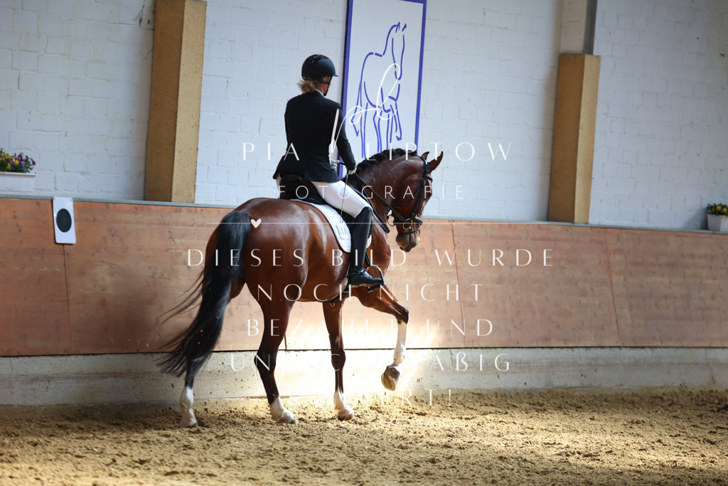 IMGT7005 | pl-fotografie