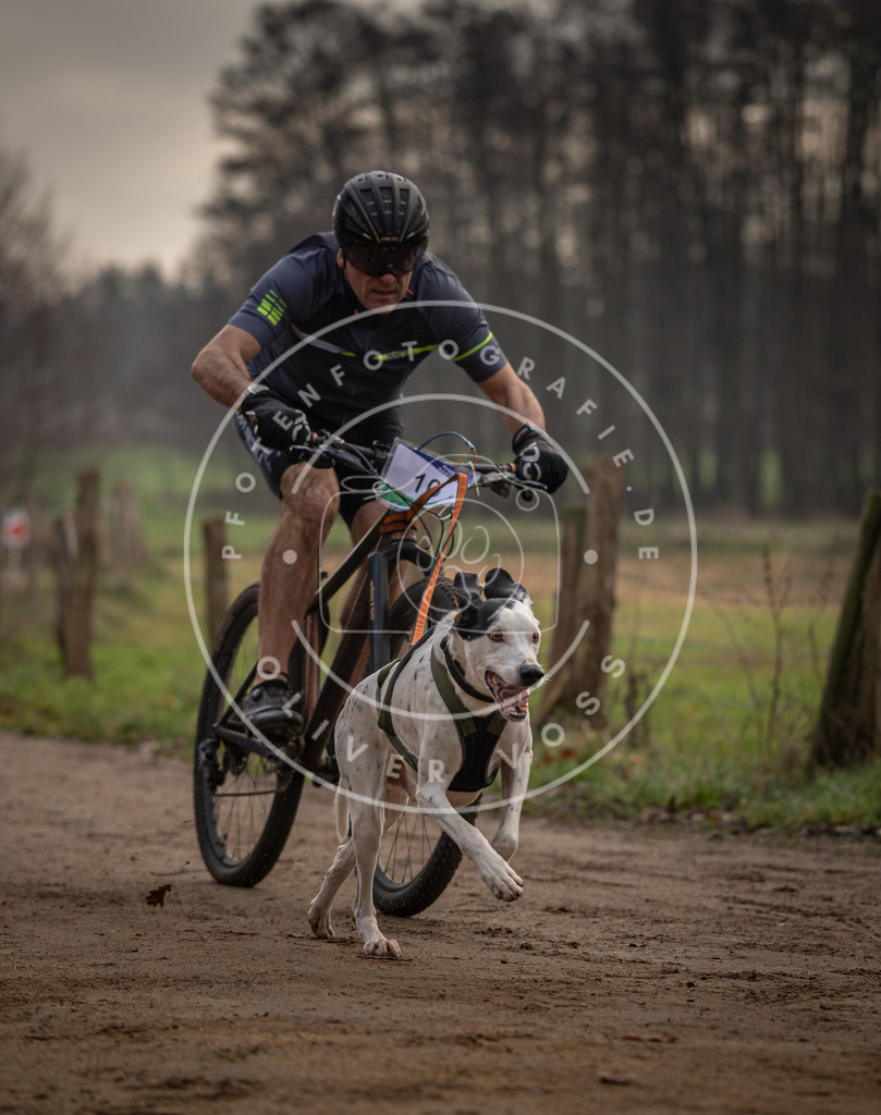 Pfotenfotografie_DV3A1739 | Hundefotografie, Tierfotograf, Pfotenfotografie, Fotoshooting Hund, Hunde Portrait, Hundesport, Hundeportraits, Heideshooting, Hunde, Sportfotograf, Hundefotograf, Turnierhundsport, THS,  - Realisiert mit Pictrs.com