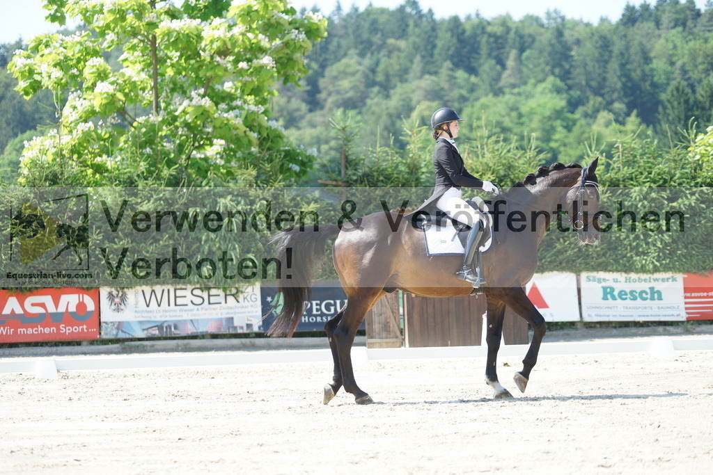 DSC02336 | equestrian-live-com