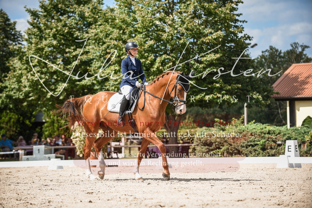 DSC_9212 | Pferde- und Turnierfotografie in Westsachsen. Pferdeportraits, Auftragszeichnungen und intuitive Kunst.