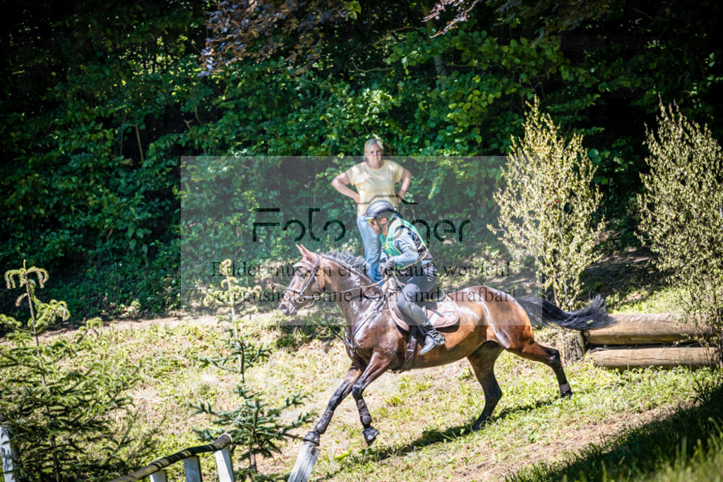 Vielseitigkeitsturnier Melle Oldendorf | Entdecke hochwertige Reitturnierfotos von Foto Oger. Professionell, emotional und authentisch – jetzt Lieblingsmomente im Shop bestellen.Deutschlandweite Turnierfotografie. - Realisiert mit Pictrs.com
