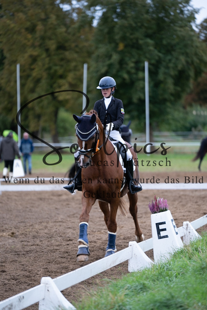 A7V06063 | Pferdefotograf