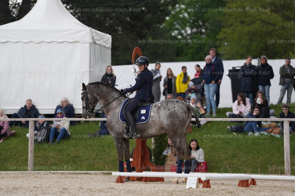 PI26_ST_Jan_Picutures7C_08427.JPG | working equitationturnier fotograf videograf stoibphotography marixx film working equitation deutschland reitsport turnierfotografie eventfotografie equestrian events