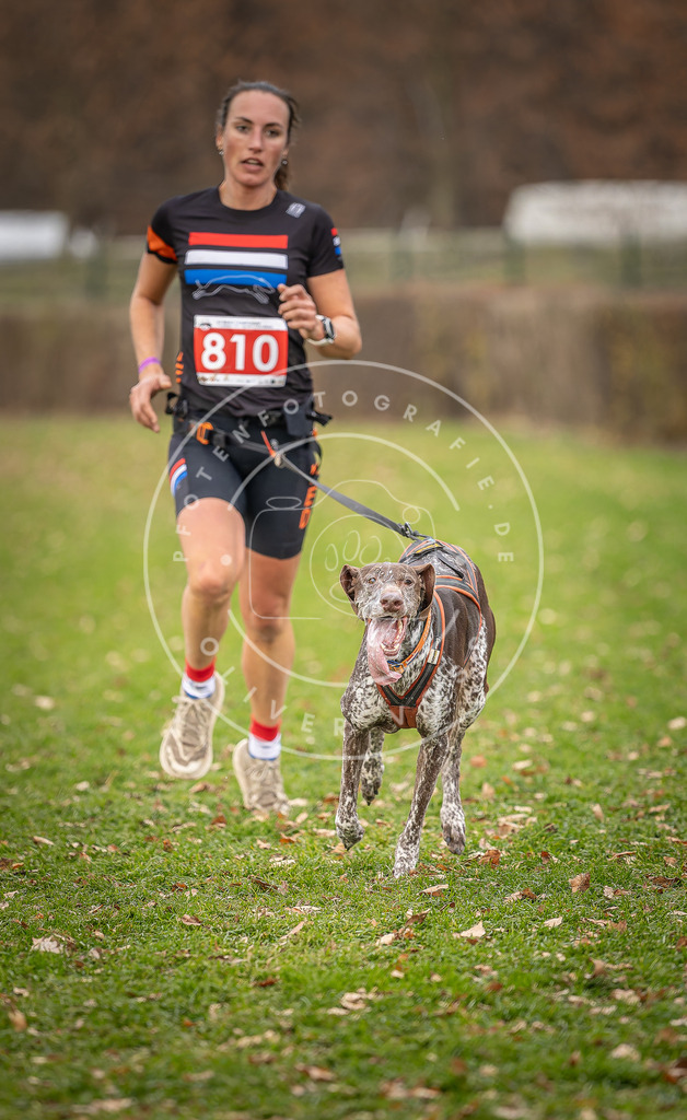CaniXpix_DV3A6390 | Hundefotografie, Tierfotograf, Pfotenfotografie, Fotoshooting Hund, Hunde Portrait, Hundesport, Hundeportraits, Heideshooting, Hunde, Sportfotograf, Hundefotograf, Turnierhundsport, THS,  - Realisiert mit Pictrs.com