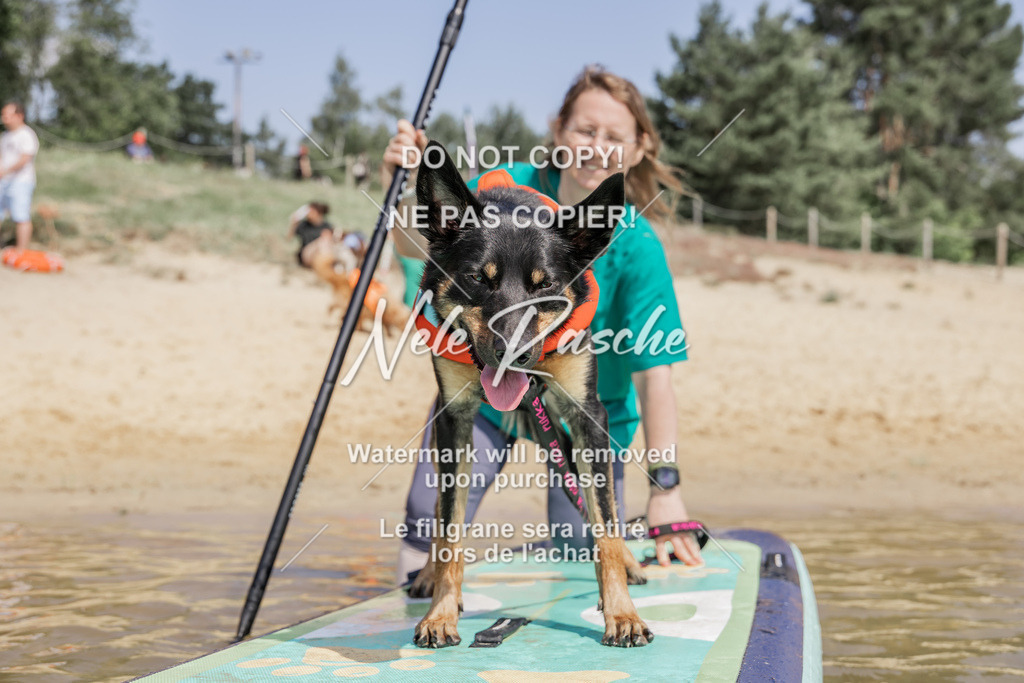 BUHU_SUP_542 | nelerasche