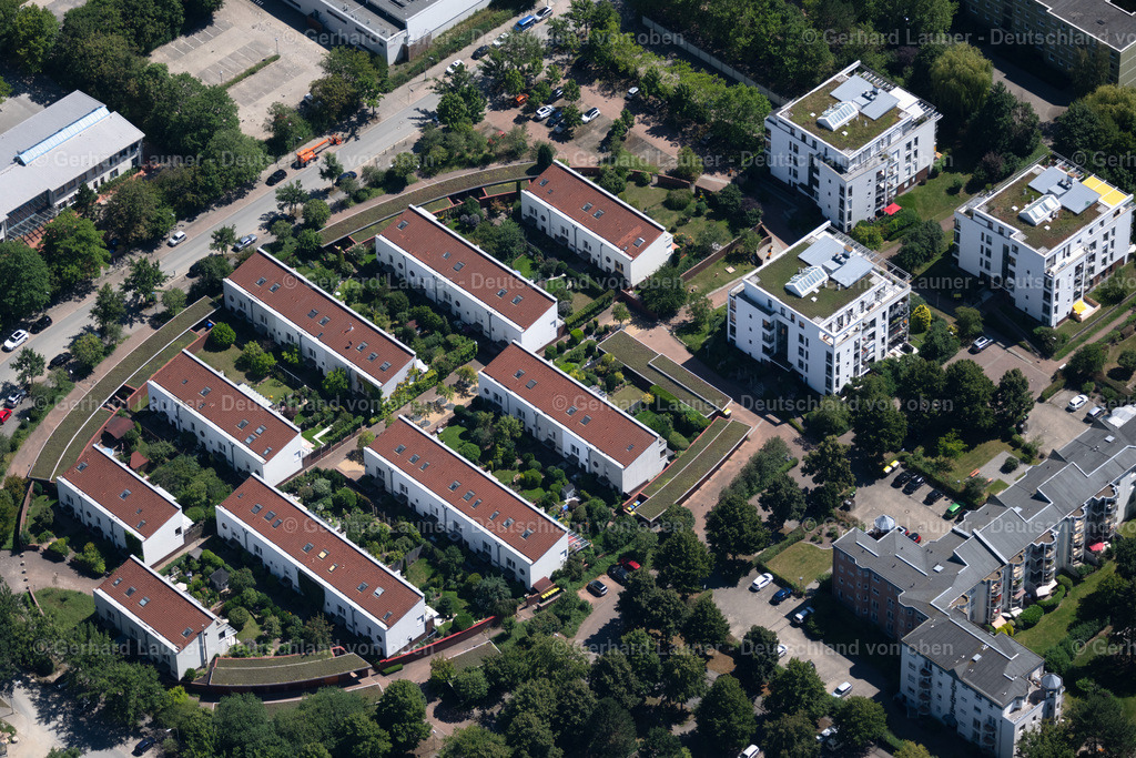 4035997 | BRAUNSCHWEIG 31.07.2020 Wohngebiet einer Reihenhaus- Siedlung an der an der Straße Rheinring in Braunschweig im Bundesland Niedersachsen, Deutschland. // Residential area a row house settlement in Brunswick in the state Lower Saxony, Germany. Foto: Gerhard Launer