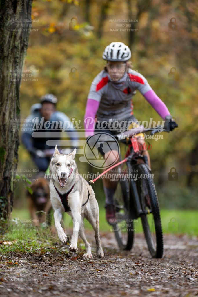 MompixPhotography_Bischwiller23_Bike-34 | mompixphotography