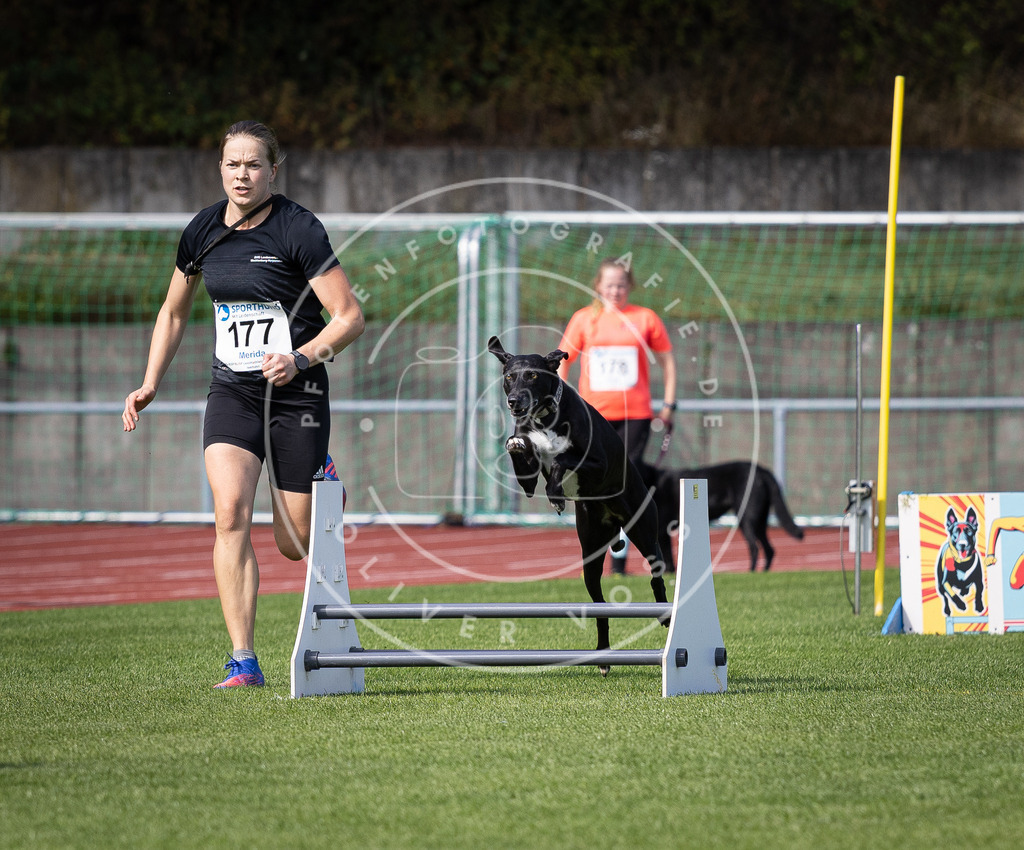 Pfotenfotografie_DV3A0134 | Hundefotografie, Tierfotograf, Pfotenfotografie, Fotoshooting Hund, Hunde Portrait, Hundesport, Hundeportraits, Heideshooting, Hunde, Sportfotograf, Hundefotograf, Turnierhundsport, THS,  - Realisiert mit Pictrs.com