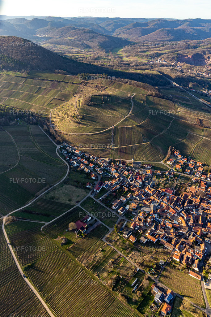 Luftbild: Keschdebusch in Birkweiler im Bundesland Rheinland-Pfalz in Deutschland. Foto: IMG_130634.jpg vom 23.02.2022 durch Werner Riehm/FLY-FOTO.deWeinort Birkweiler