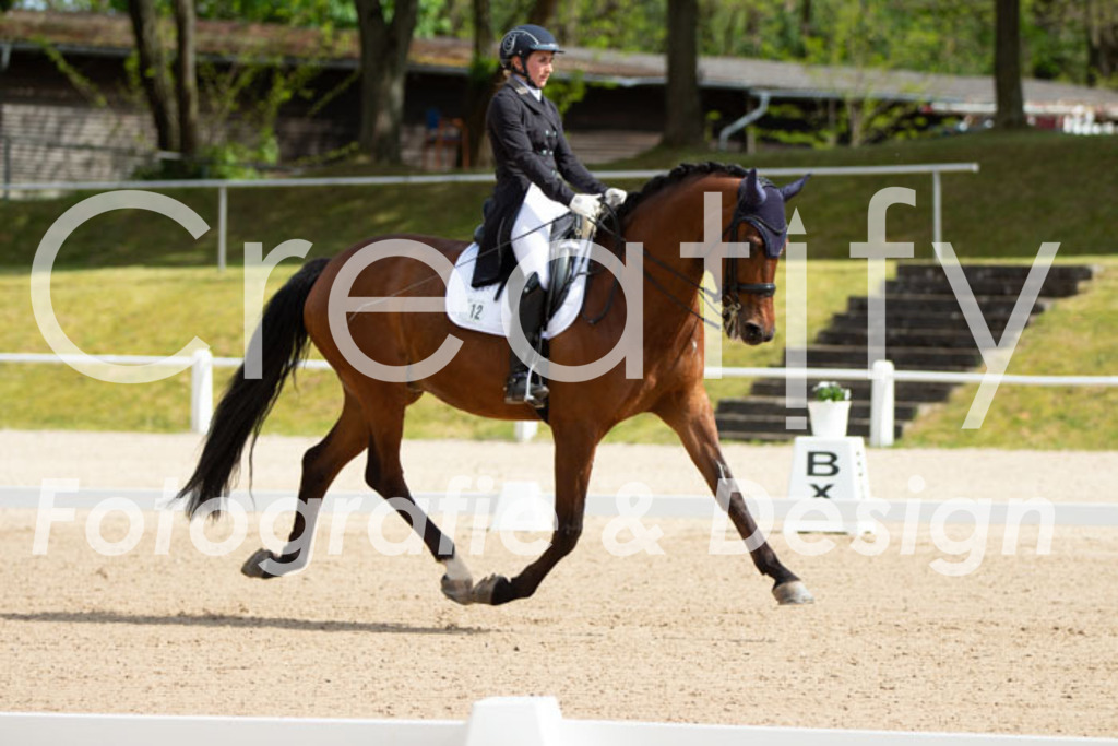 IMG_7184 | Creatify Fotografie