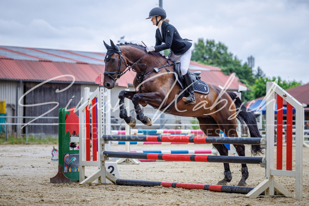 20260705-_3LI3559 | Tierfotografie Pferde, Hunde, Katzen, Haustiere.
Turnierfotografie Reitturniere, Reiten, Springreiten, Dressur in Hanau, dem Main-Kinzig-Kreis und dem Rhein-Main- Gebiet um Frankfurt