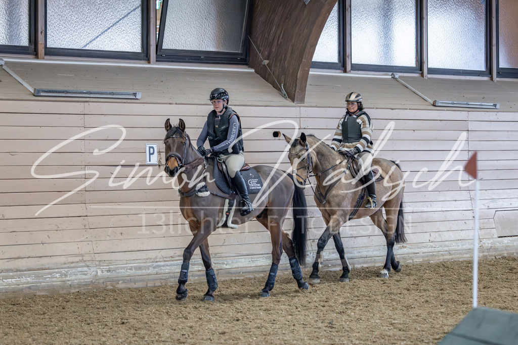 20260221-_3LI0231 | Tierfotografie Pferde, Hunde, Katzen, Haustiere.
Turnierfotografie Reitturniere, Reiten, Springreiten, Dressur in Hanau, dem Main-Kinzig-Kreis und dem Rhein-Main- Gebiet um Frankfurt