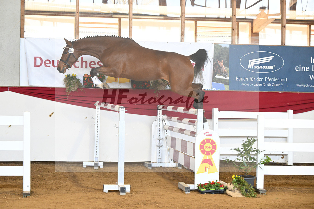 Kat-Nr. 43 Ehawee v. Colestus_Fischer_16251029 | hf-fotografie - Realizzato con Pictrs.com