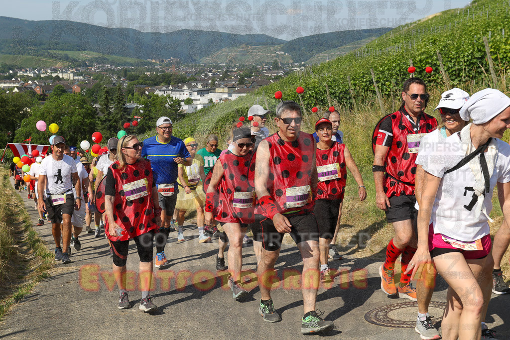 230617_0951_EV9_6706 | Sportfotografie im Rhein-Sieg Kreis, Köln, Bonn, NRW, Rheinland Pfalz, Hessen, etc. Unser Tätigkeitsfeld umfasst den Laufsport vom Volkslauf über den Marathon, Duathlon, Triathon bis zum Ultralauf wie Kölnpfad Ultra oder Schindertrail.