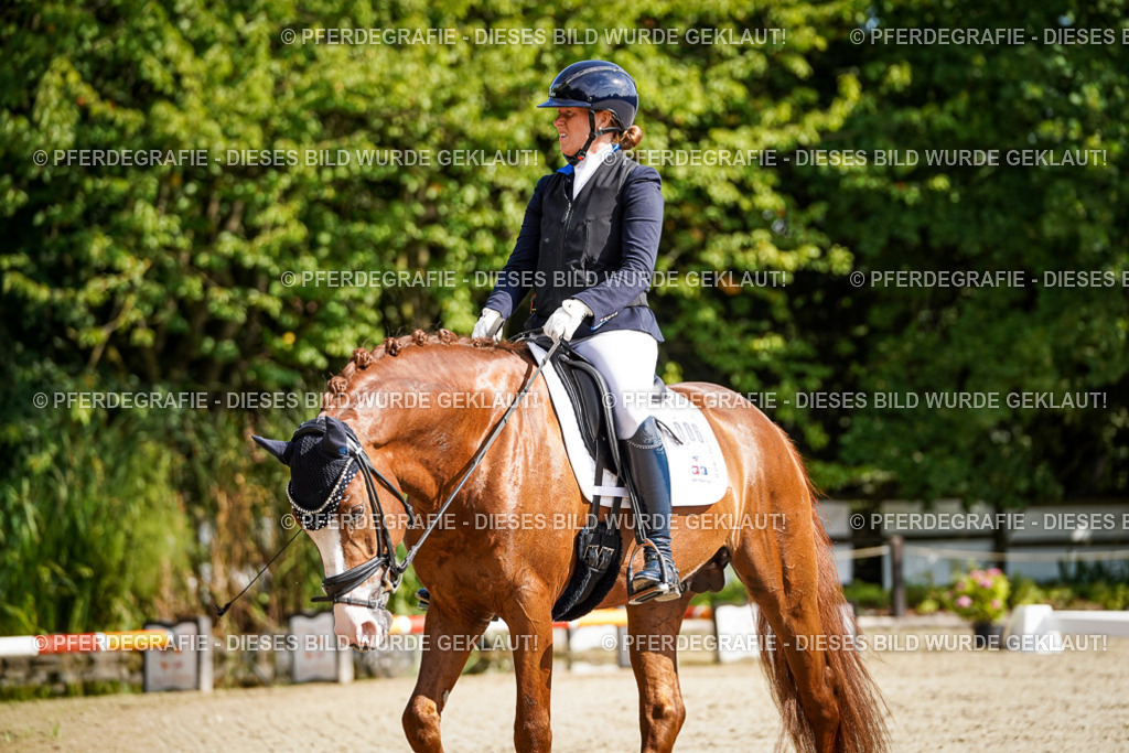 DSC06626 | Pferdegrafie