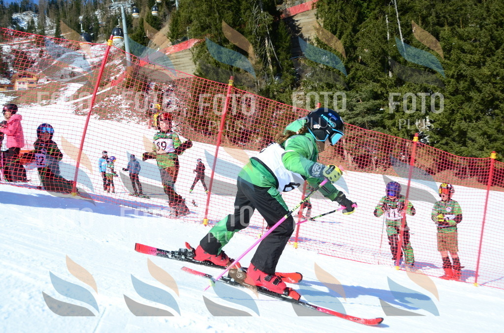 C5405 | holidayphoto