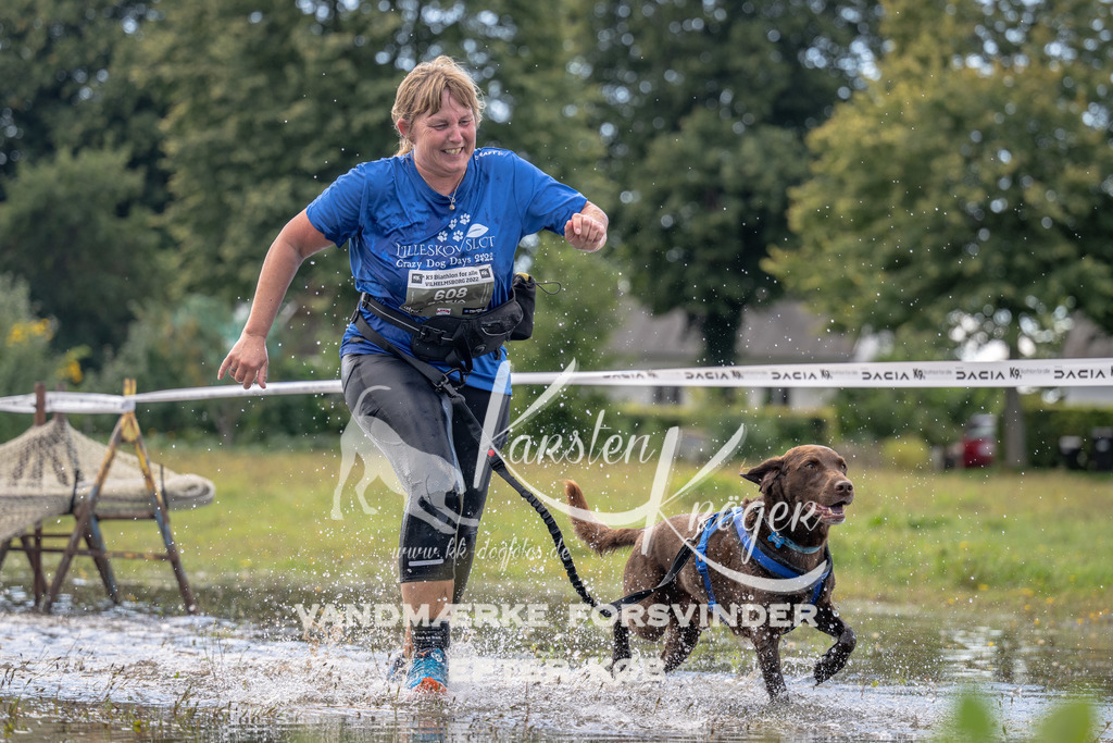 1305_ZZ90096 | kk-dogfotos