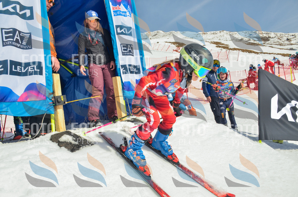 _ELE5249 | holidayphoto