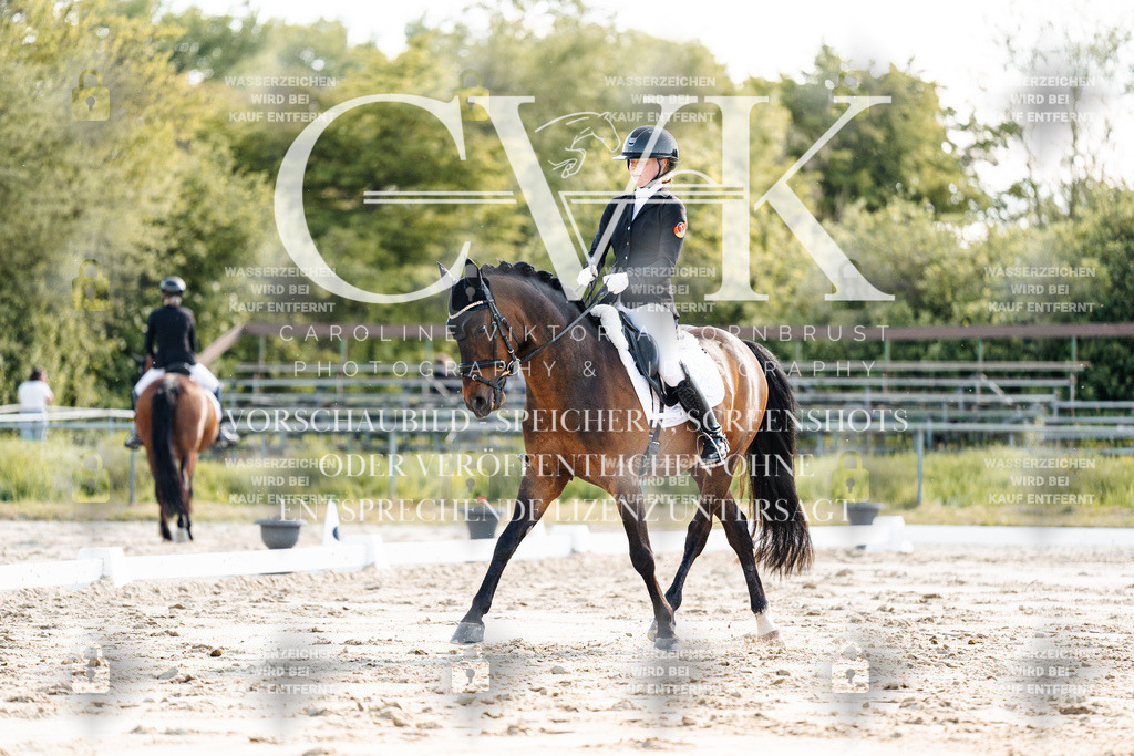 CK909531 | Turnierfotografie Pferdefotografie Trier Rheinland-Pfalz Pferdesport Reitsport Tierfotografie Sportfotografie Pferdevideo Pferdevideografie Equestrianvideography equestrianphotography  - Realisiert mit Pictrs.com