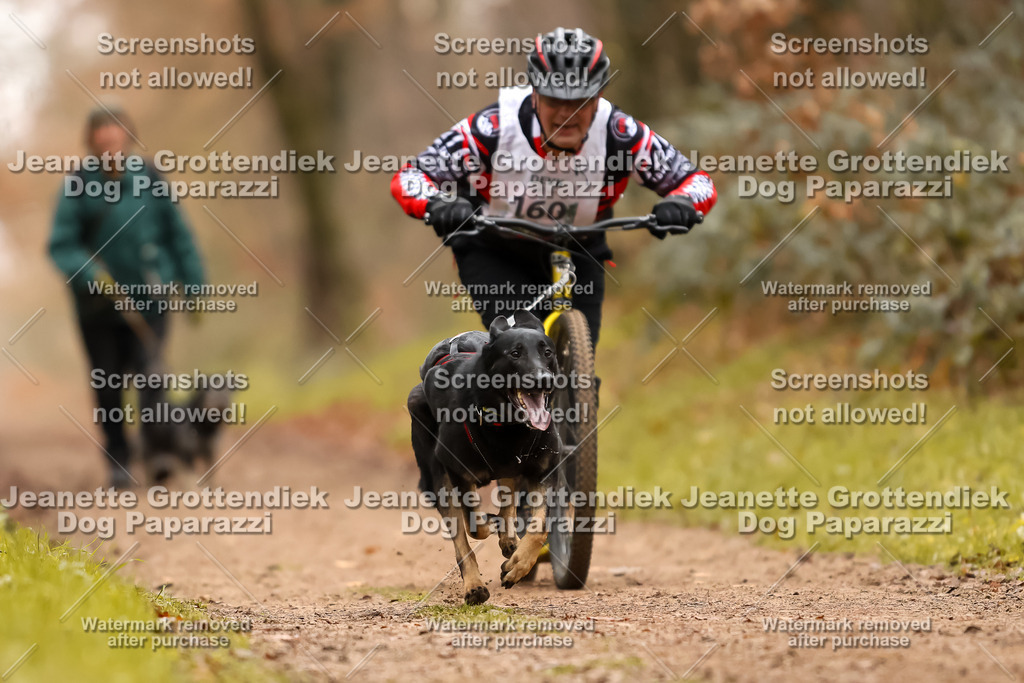 Dog Paparazzi - Speedhunter Mannheim  2025-439 | Dog Paparazzi Jeanette Grottendiek Fotografie & Videografie