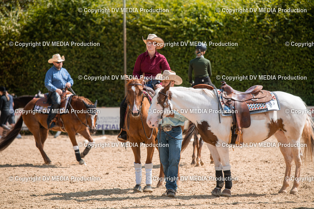 ZS3_9538 | dv-media-shop - Realisiert mit Pictrs.com