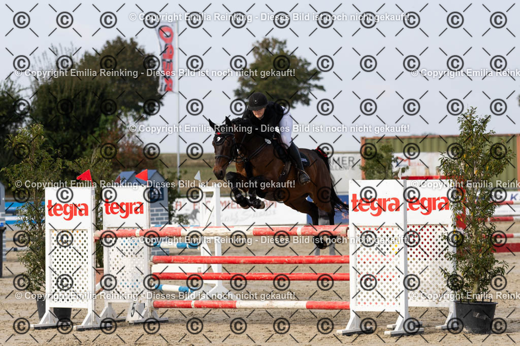 CL5A5212 | Emilia Reinking Fotografie - Realisiert mit Pictrs.com