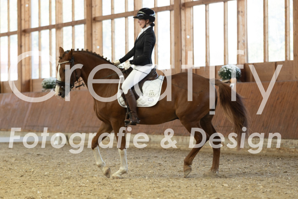 IMG_4875 | Creatify Fotografie