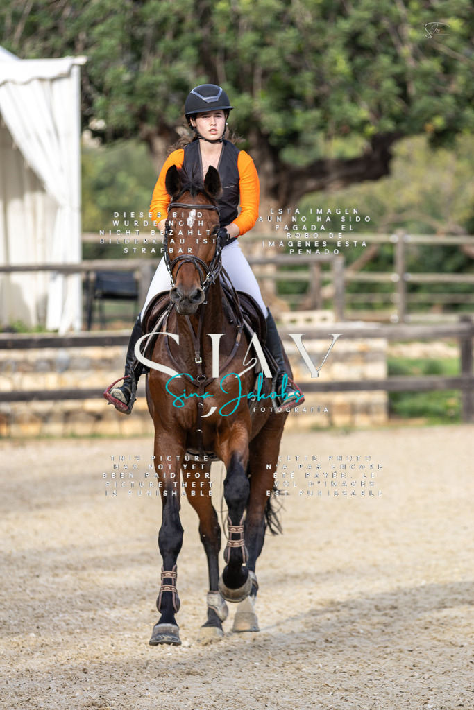 IMG_4757 | s-jay-photography - Realisiert mit Pictrs.com