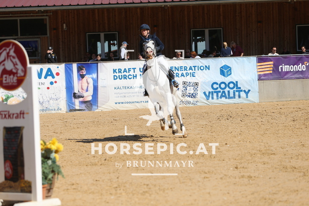 DL2Q5272 | Willkommen bei Brunnmayr - Design & Fotografie – Ihrem Spezialisten für Reitturniere und Pferdeveranstaltungen in Oberösterreich, Salzburg und Bayern! Seit über 17 Jahren sind wir leidenschaftlich dabei.